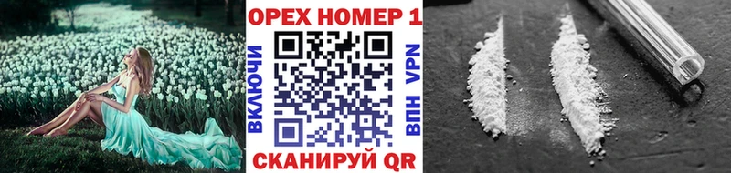 Cocaine Fish Scale  ОМГ ОМГ рабочий сайт  Нефтекумск 