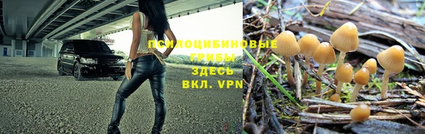 соль курить ск Алексеевка